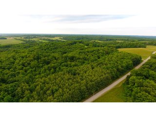 TRACTS 1-2 - LAND AUCTION - 1,050+/- ACRES OFFERED IN 21 TRACTS PLUS 450+/- ACRE HUNTING LEASE IN MUSKINGUM COUNTY, OHIO